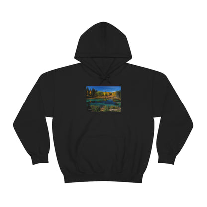 Kimball State Park, Ft. Klamath Or.    Unisex Heavy Blend™ Hooded Sweatshirt