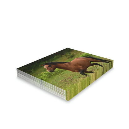 Protector,  Wild Stallion   Greeting cards (8, 16, and 24 pcs)