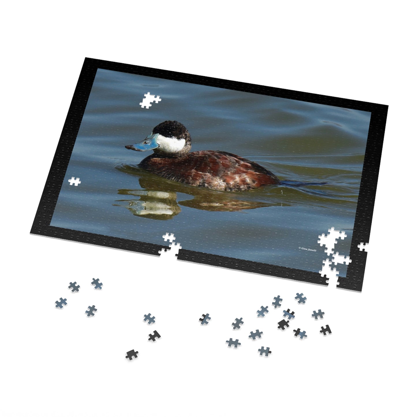 Ruddy Duck    Jigsaw Puzzle ( 110, 252, 500,1000-Piece)
