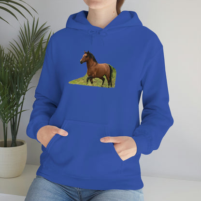 Protector,  Wild Stallion   Unisex Heavy Blend™ Hooded Sweatshirt