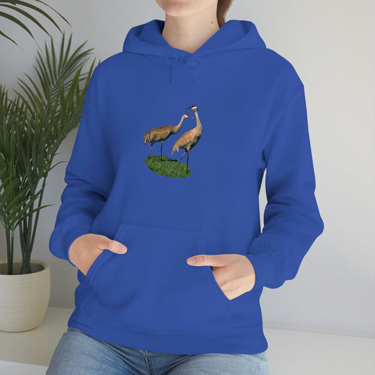 Sandhill Crane Pair   Unisex Heavy Blend™ Hooded Sweatshirt