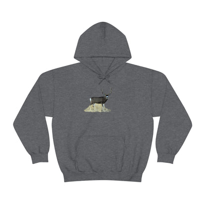 Standing Mule Deer Buck      Unisex Heavy Blend™ Hooded Sweatshirt