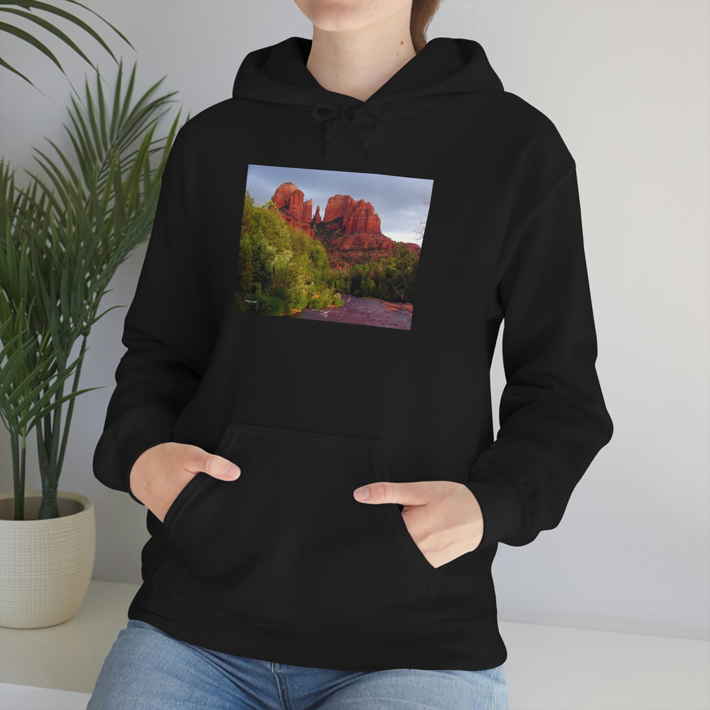Cathedral Rock & Great Blue Heron, Sedona Az. Unisex Heavy Blend™ Hooded Sweatshirt