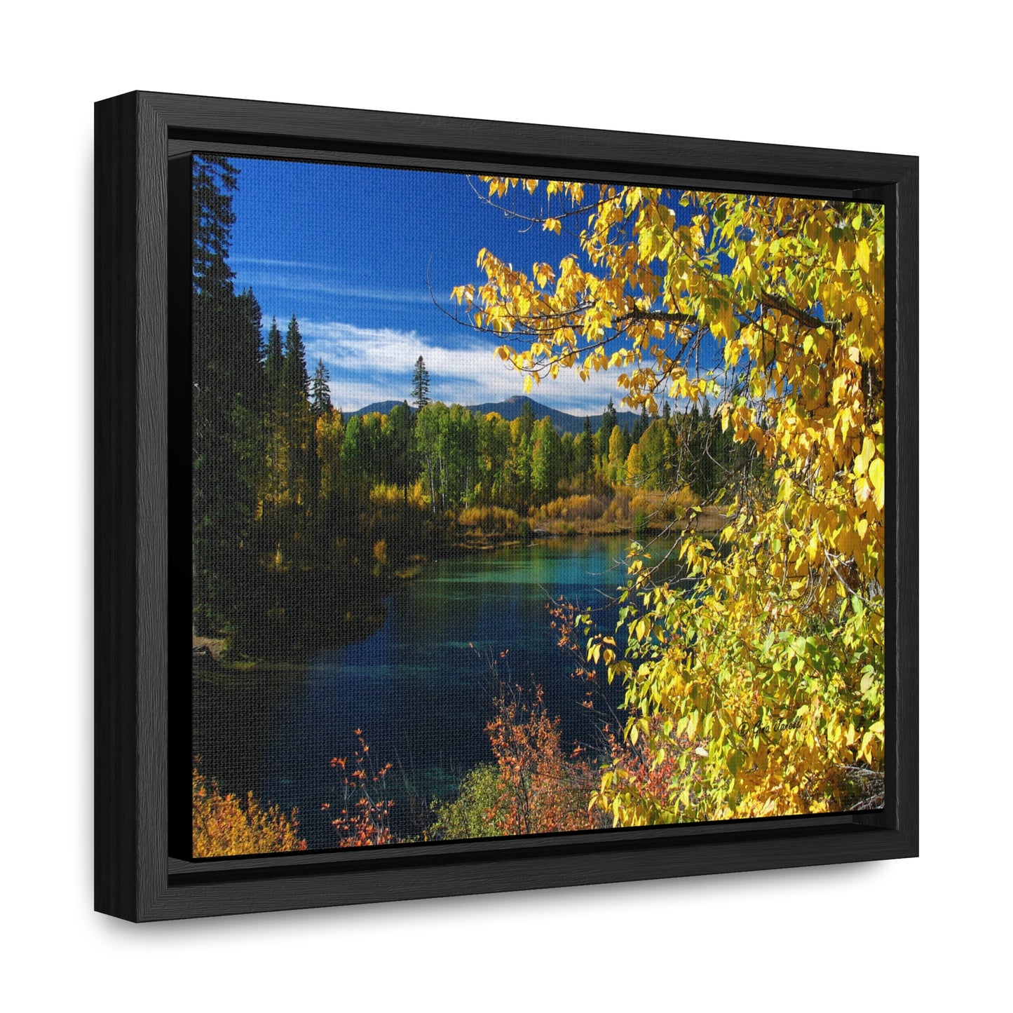 Wood River, Kimball State Park, Ft. Klamath Or.    Gallery Canvas Wraps, Horizontal Frame