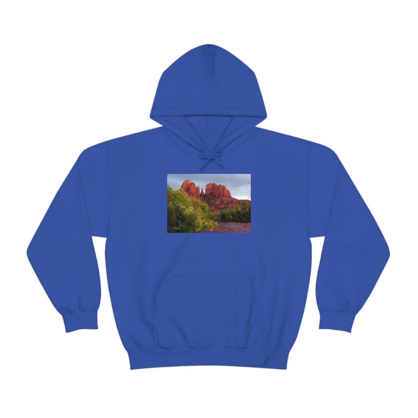 Cathedral Rock & Great Blue Heron, Sedona Az. Unisex Heavy Blend™ Hooded Sweatshirt