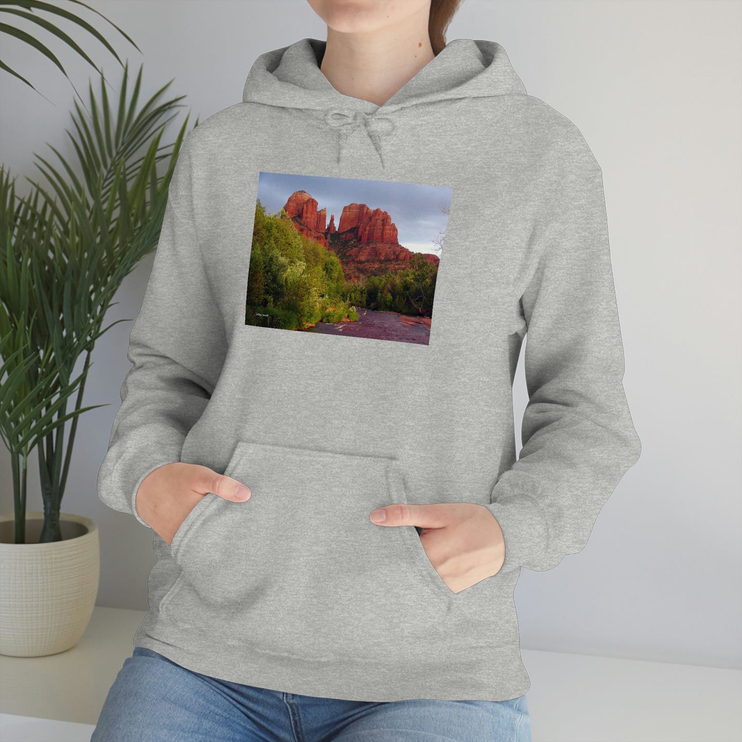 Cathedral Rock & Great Blue Heron, Sedona Az. Unisex Heavy Blend™ Hooded Sweatshirt