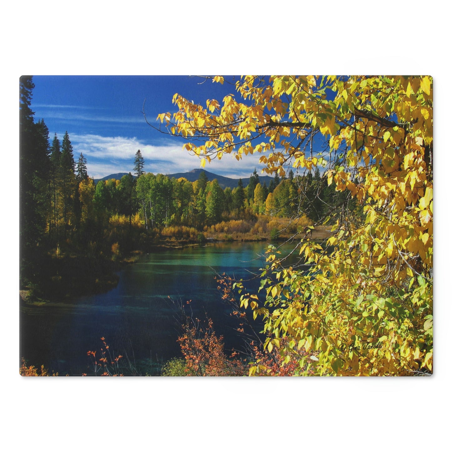 Wood River, Kimball State Park, Ft. Klamath Or.    Cutting Board