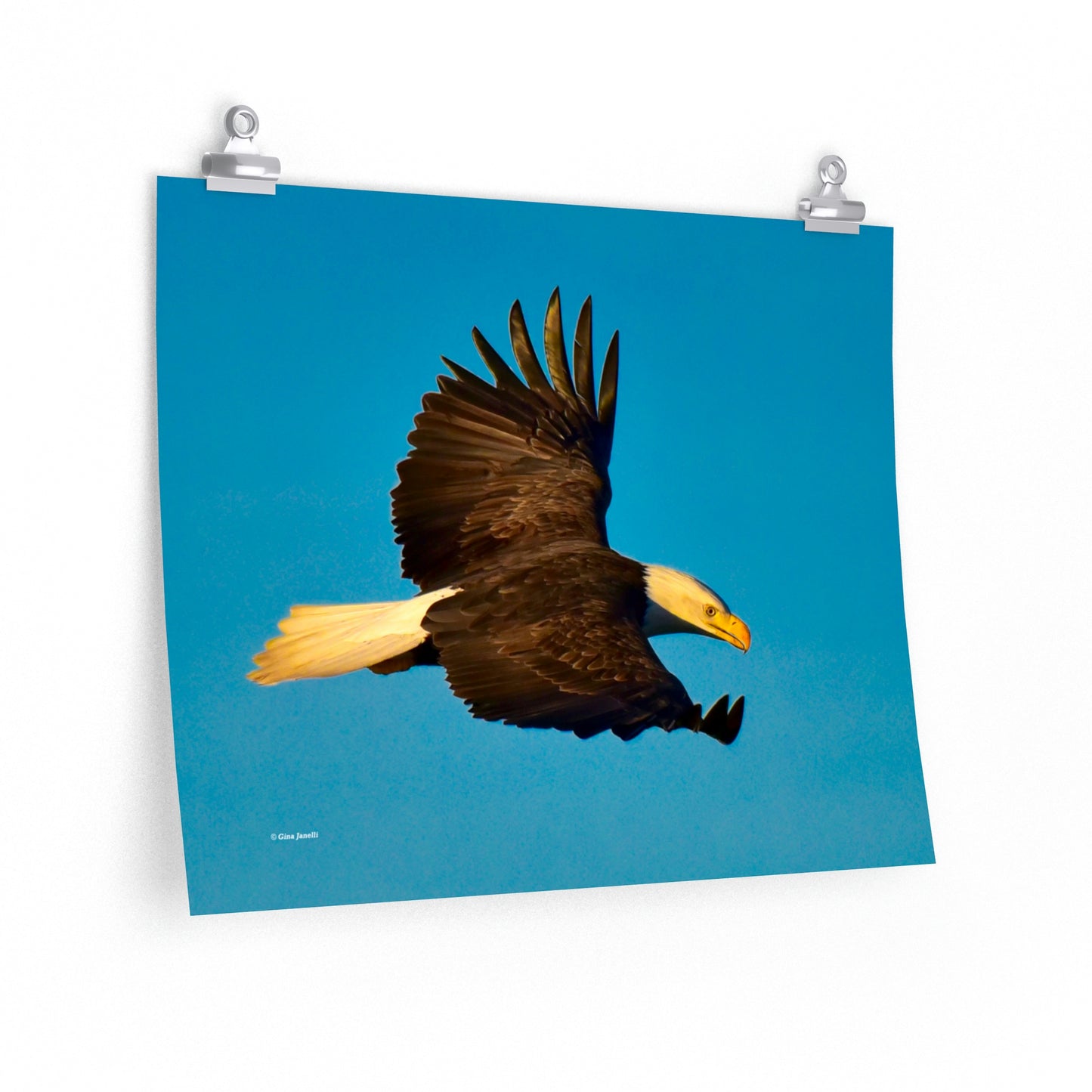The Eagle Premium Matte horizontal poster