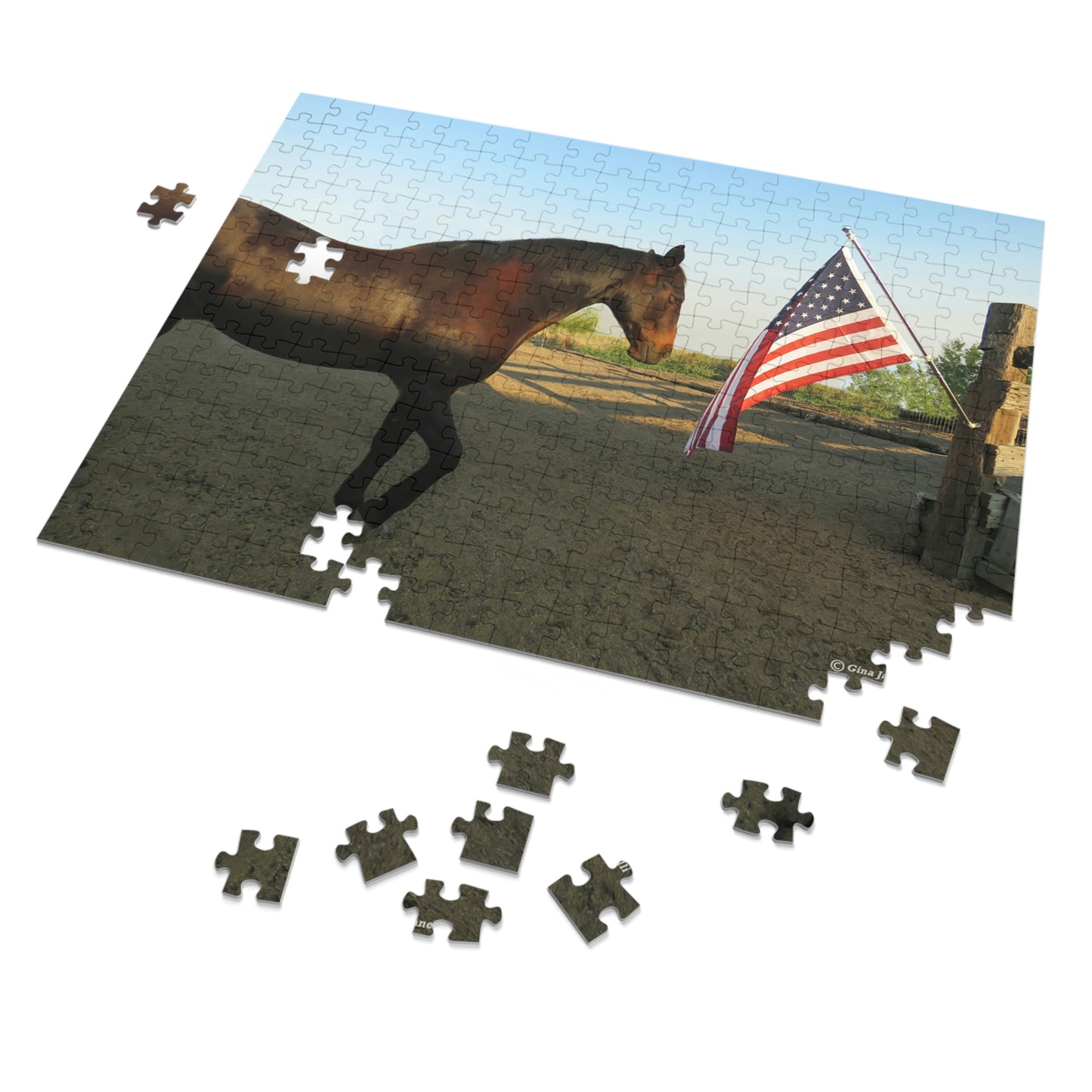 Pure Country  Salute the Flag               Jigsaw Puzzle (252 Piece)