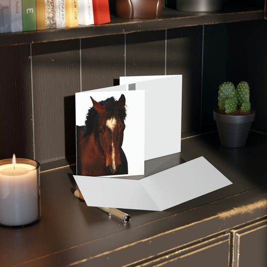 The Heart of a Horse. Quarter Horse  Greeting cards (8, 16, and 24 pcs)