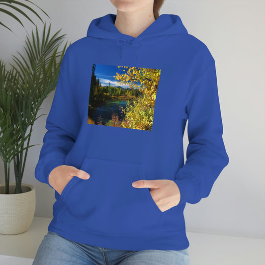 Wood River, Kimball State Park, Ft. Klamath Or.    Unisex Heavy Blend™ Hooded Sweatshirt