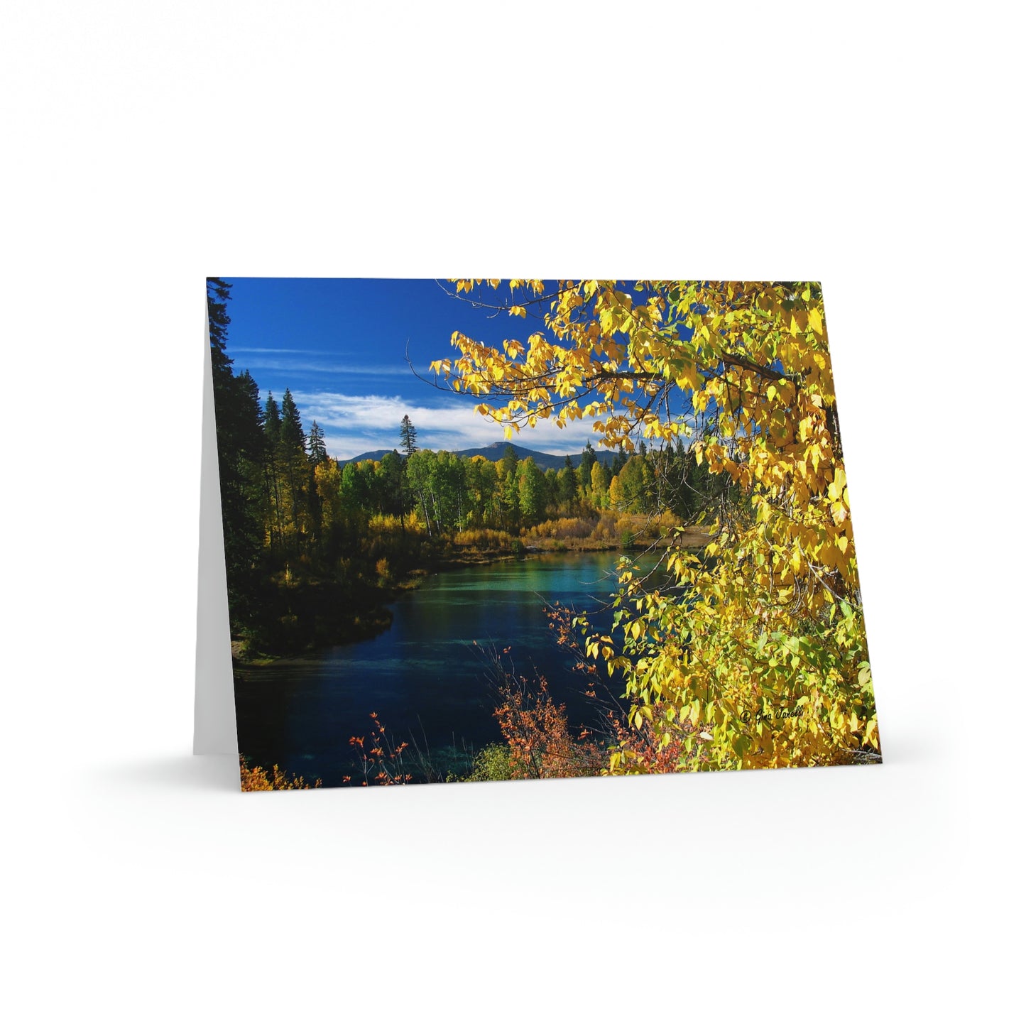 Wood River, Kimball State Park, Ft. Klamath Or. Greeting cards (8, 16, and 24 pcs)