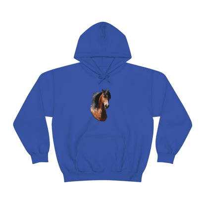 Bay Arabian Stallion  Unisex Heavy Blend™ Hooded Sweatshirt