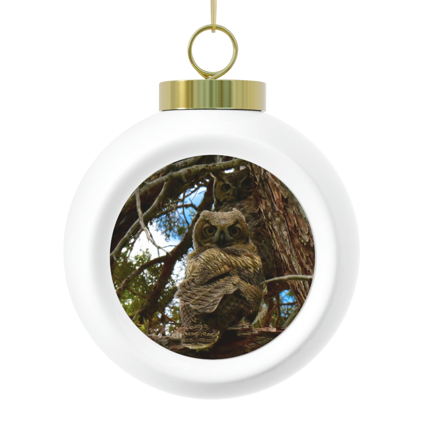 Great Horned Owls     Christmas Ball Ornament