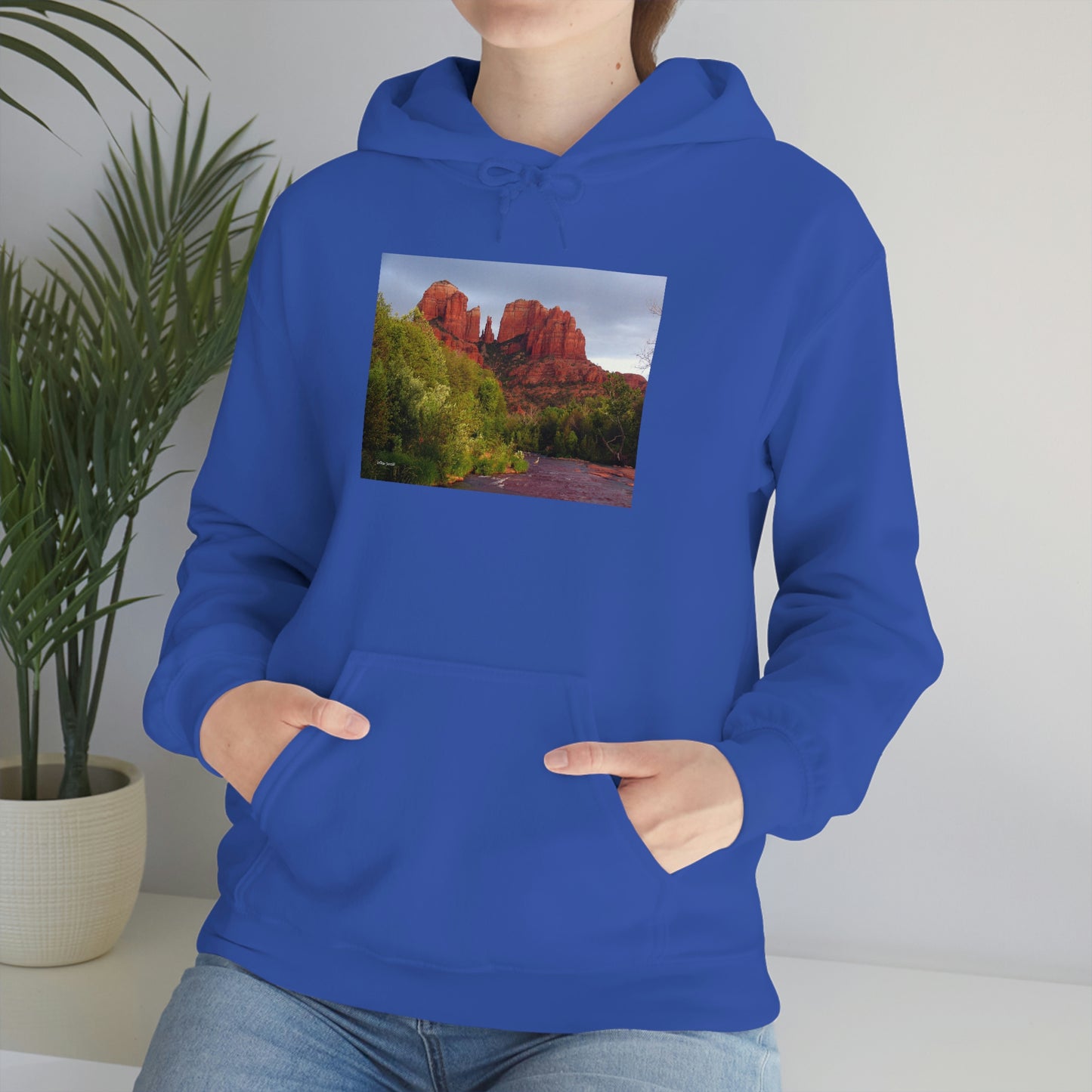 Cathedral Rock & Great Blue Heron, Sedona Az. Unisex Heavy Blend™ Hooded Sweatshirt