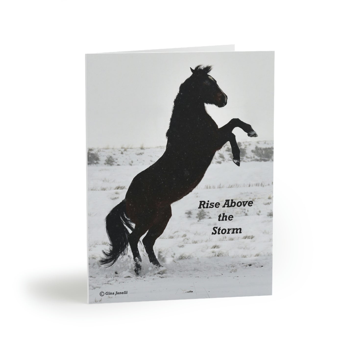 Rise above the storm - Quarter Horse        Greeting cards (8, 16, and 24 pcs)