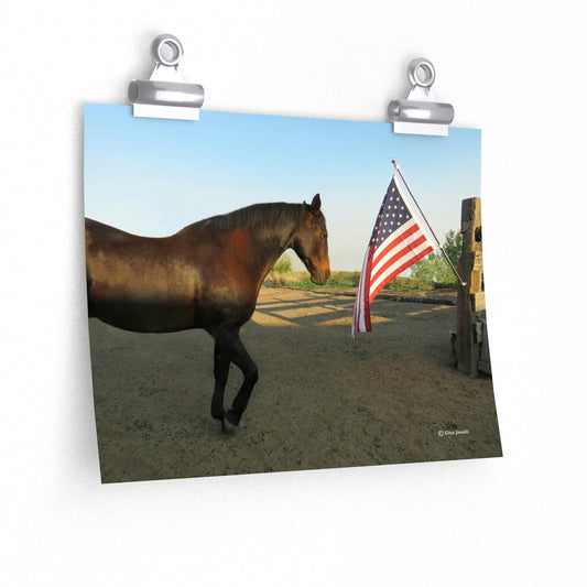Pure Country  Salute the Flag                                               Premium Matte horizontal posters