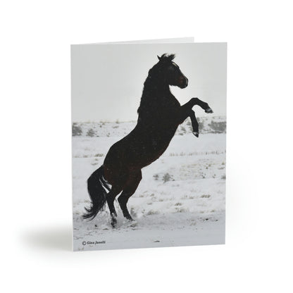 Snow storm - Quarter Horse      Greeting cards (8, 16, and 24 pcs)