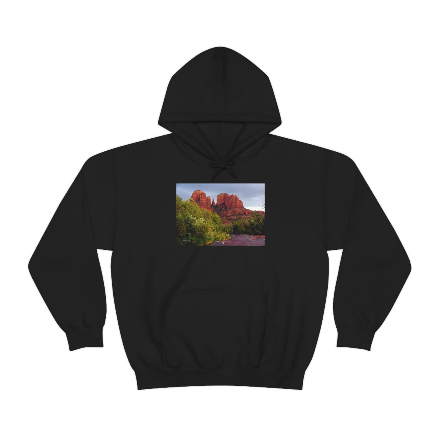 Cathedral Rock & Great Blue Heron, Sedona Az. Unisex Heavy Blend™ Hooded Sweatshirt