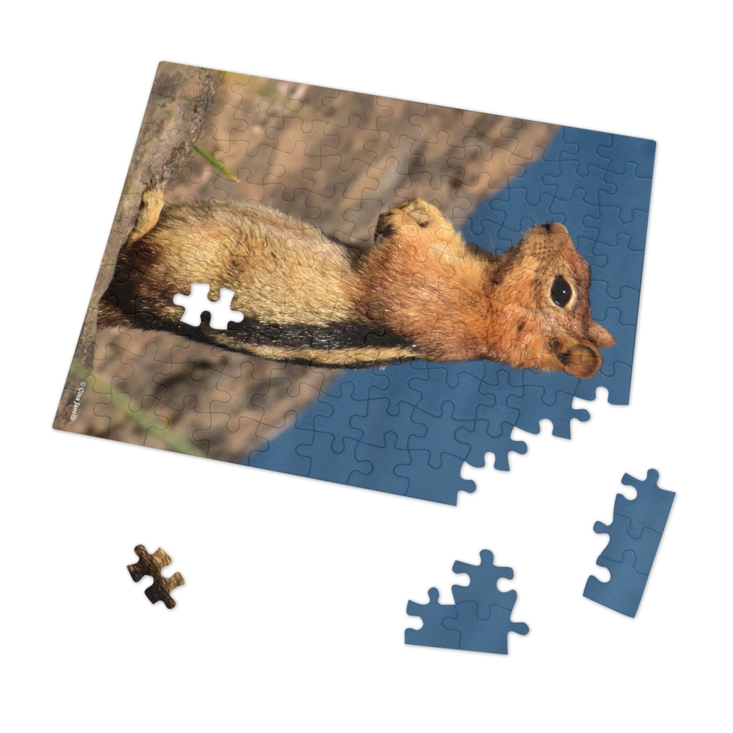 Golden-mantled Ground Squirrel         Jigsaw Puzzle ( 110, 252, 500  Piece)