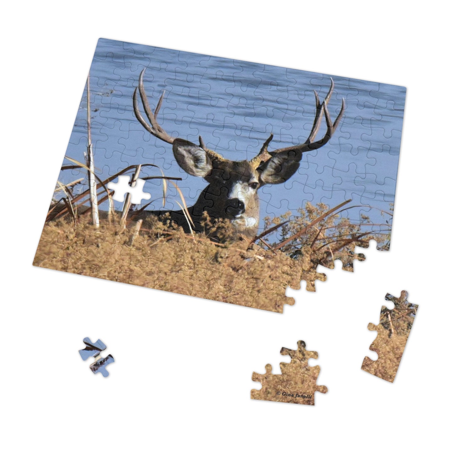 Mule Deer Buck    Jigsaw Puzzle (30, 110, 252, -Piece)