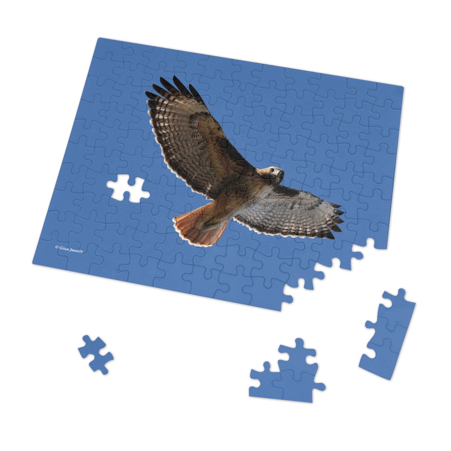 Red Tail Hawk   Jigsaw Puzzle ( 110, 252, 500 Piece)