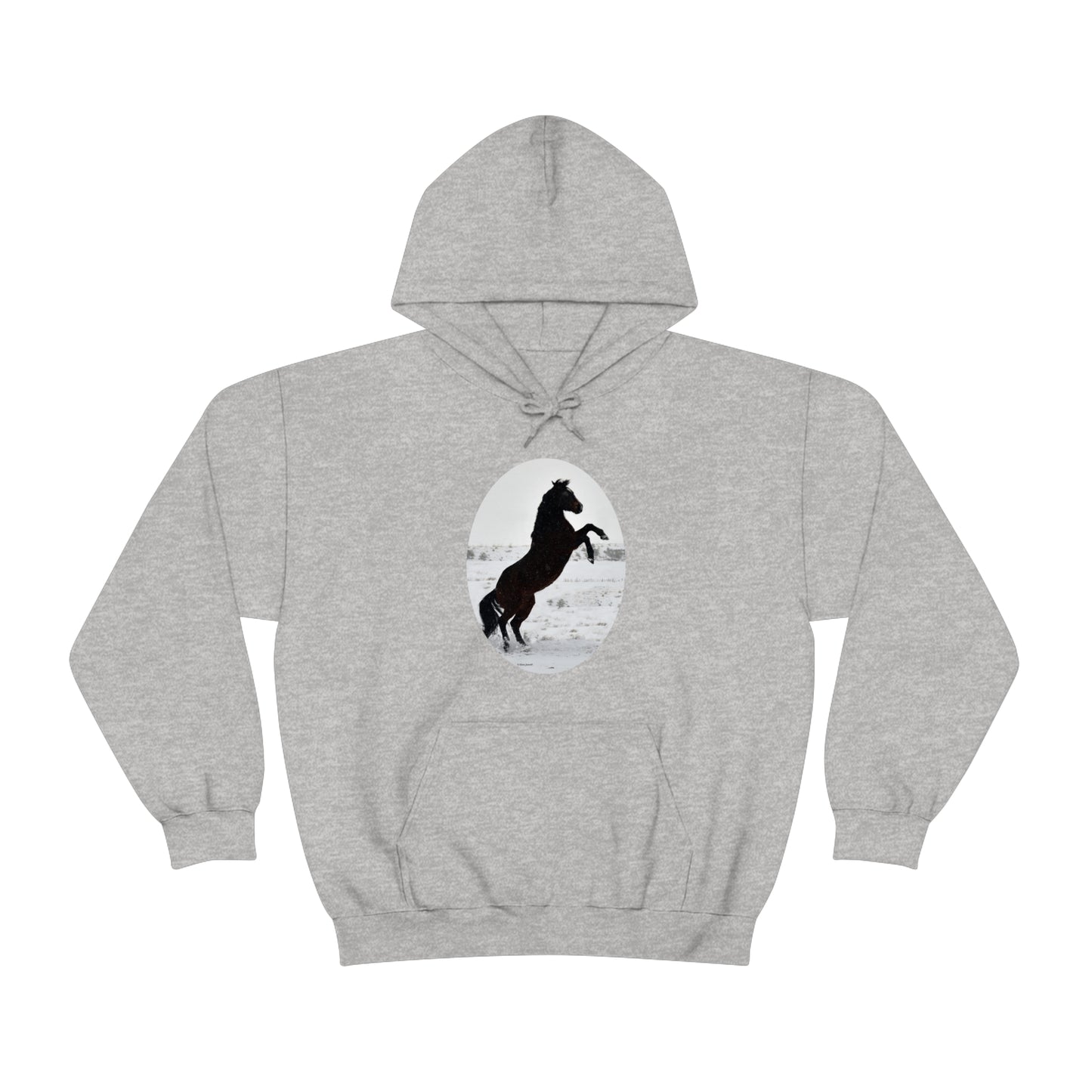 Snow storm - Quarter Horse    Unisex Heavy Blend™ Hooded Sweatshirt