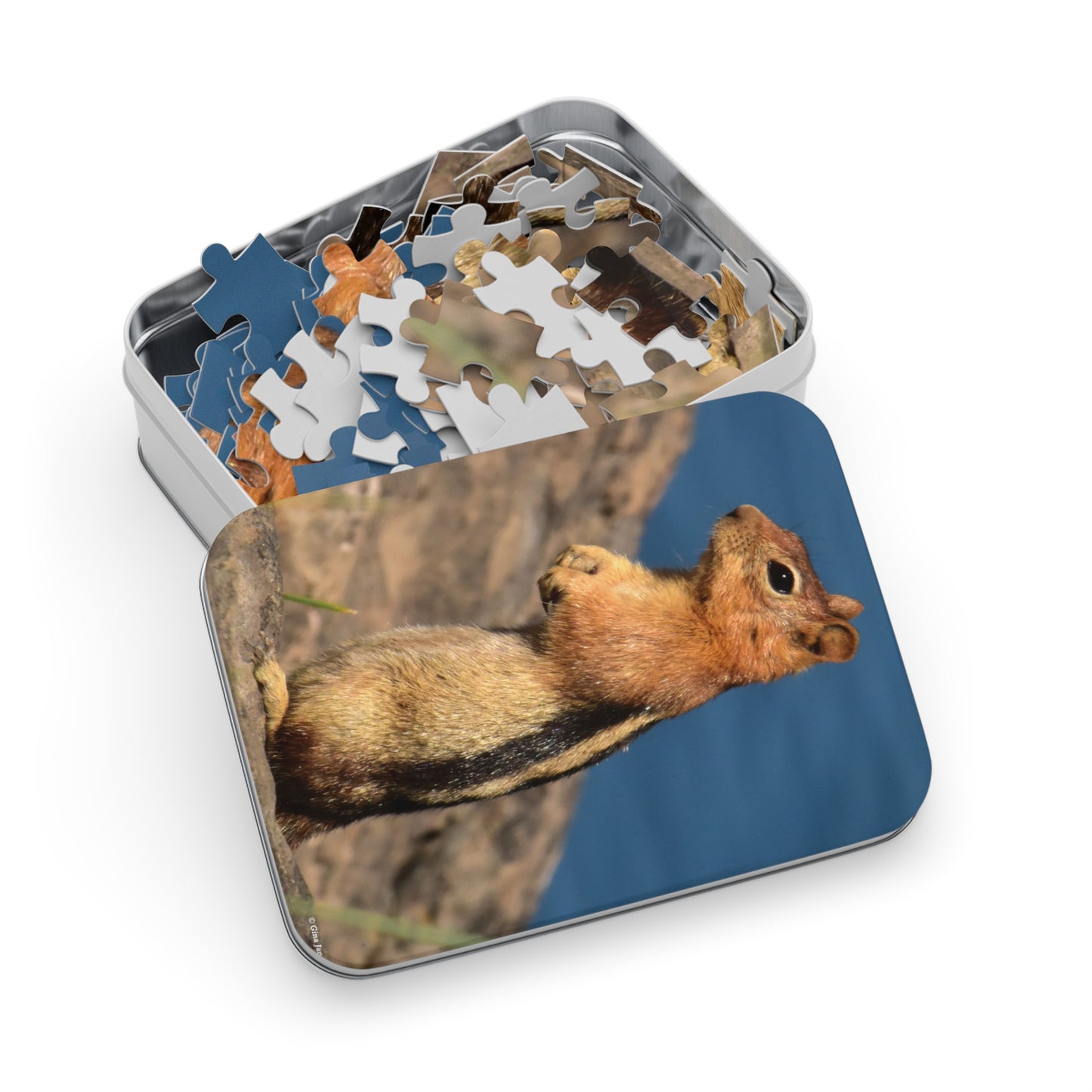 Golden-mantled Ground Squirrel         Jigsaw Puzzle ( 110, 252, 500  Piece)