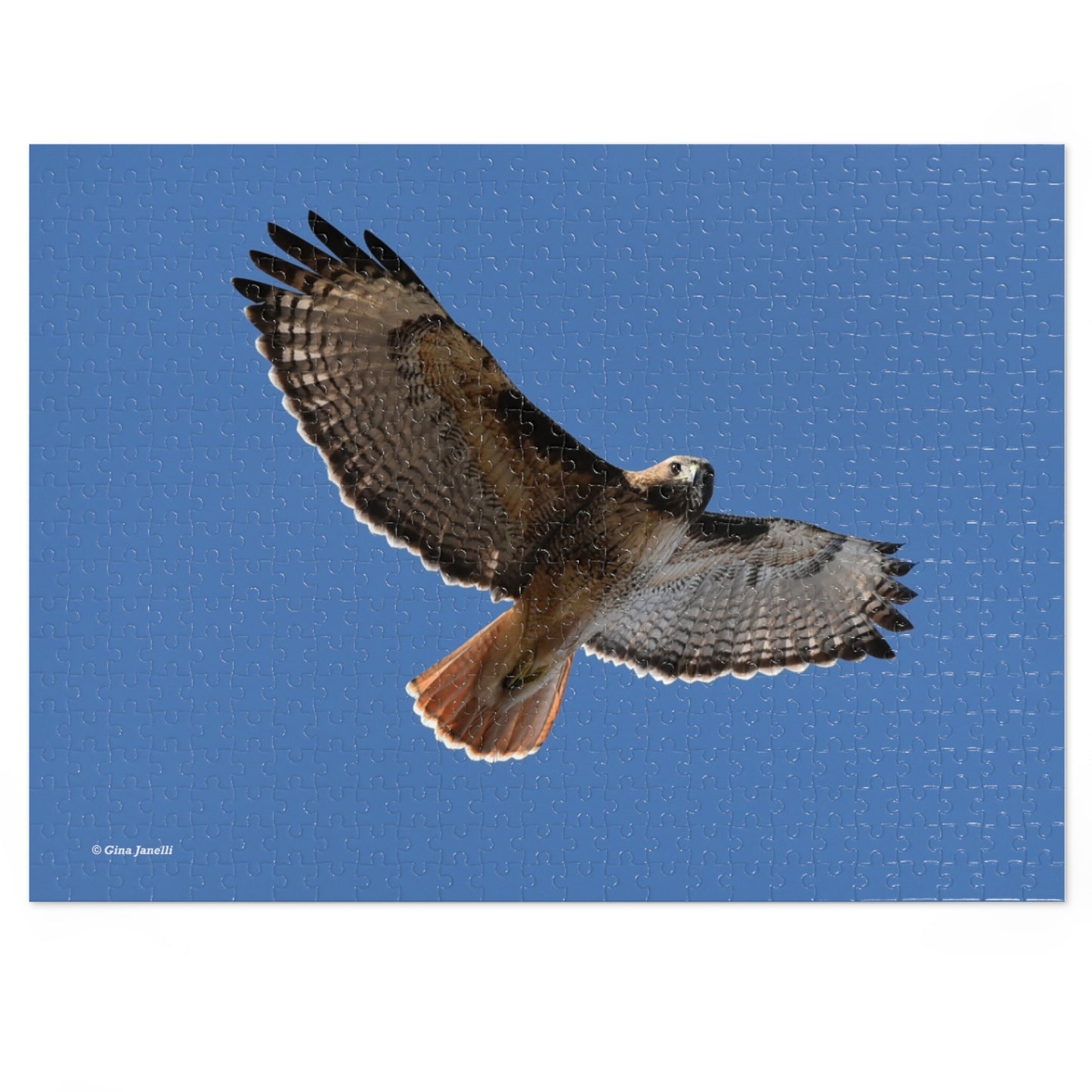 Red Tail Hawk   Jigsaw Puzzle ( 110, 252, 500 Piece)