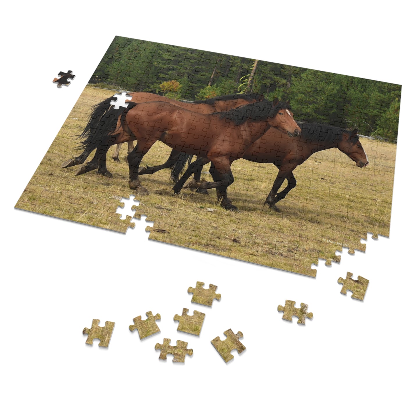 The Wild Bunch. Young Stallion and Mares. Jigsaw Puzzle (110, 252, 500,1000-Piece)