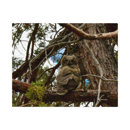 Great Horned Owls  Jigsaw Puzzle (30, 110, 252,-Piece)