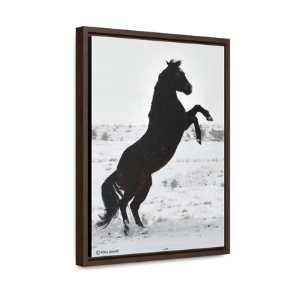 Snow Storm - Quarter Horse    Gallery Canvas Wraps, Vertical Frame