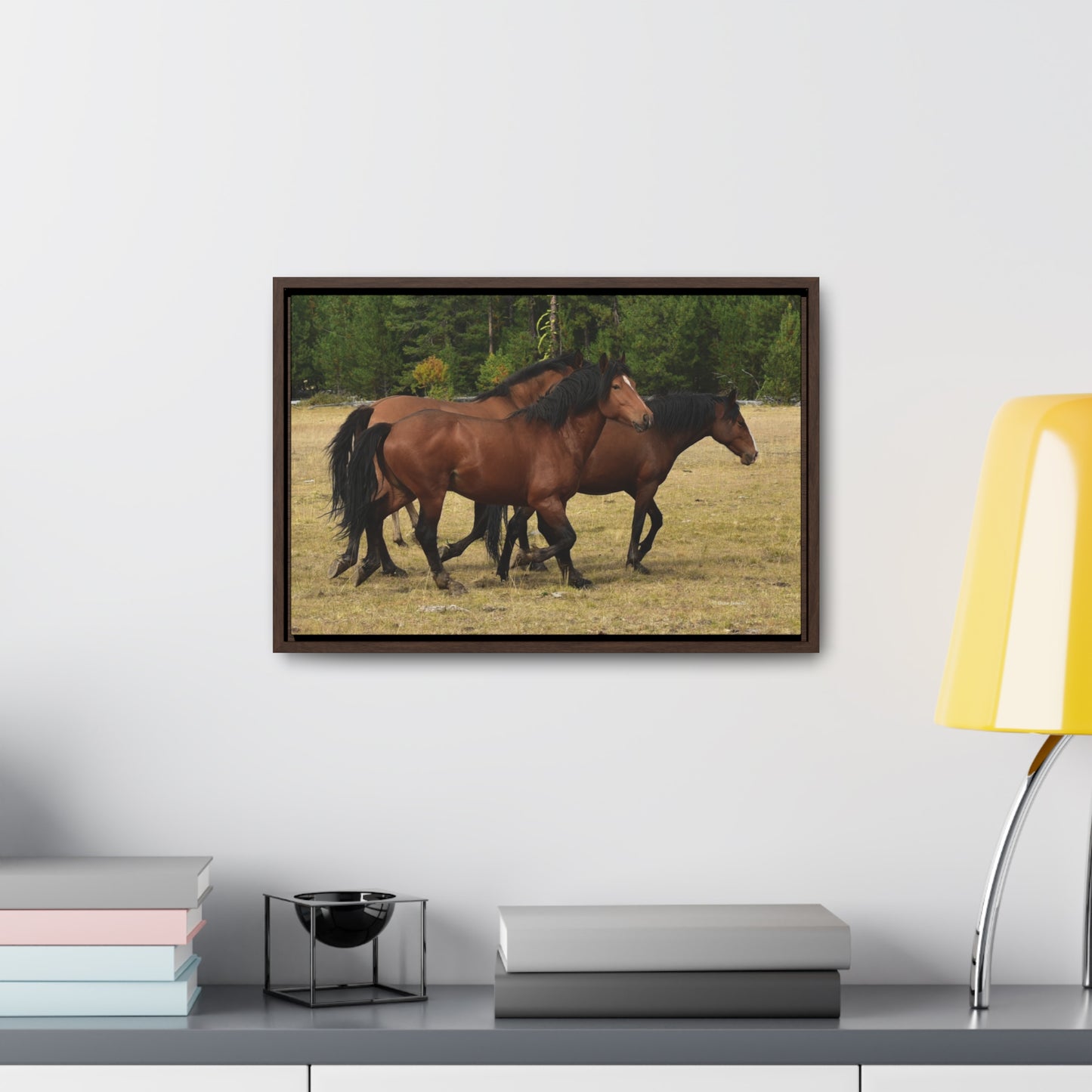 The Wild Bunch. Young Stallion and Mares.  Gallery Canvas Wraps, Horizontal Frame