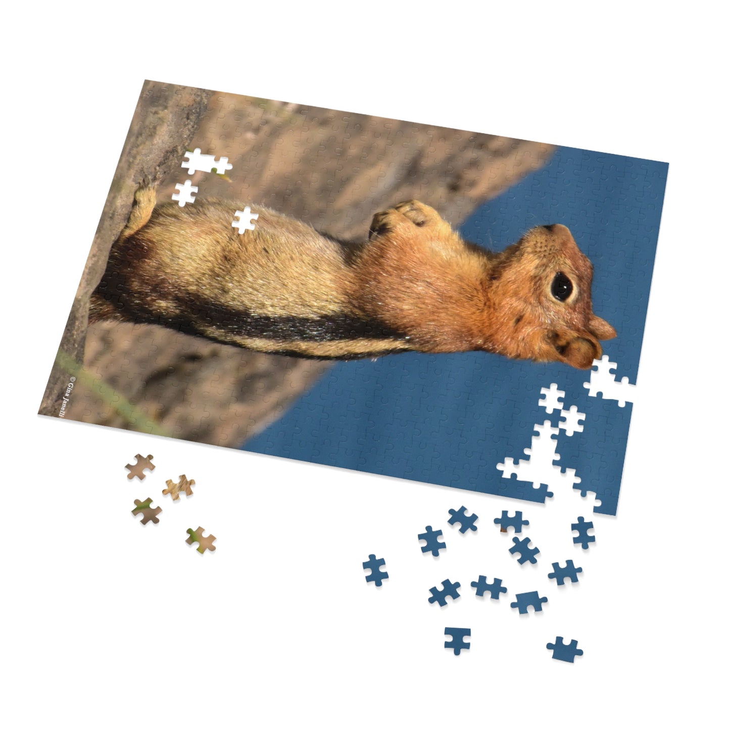 Golden-mantled Ground Squirrel         Jigsaw Puzzle ( 110, 252, 500  Piece)