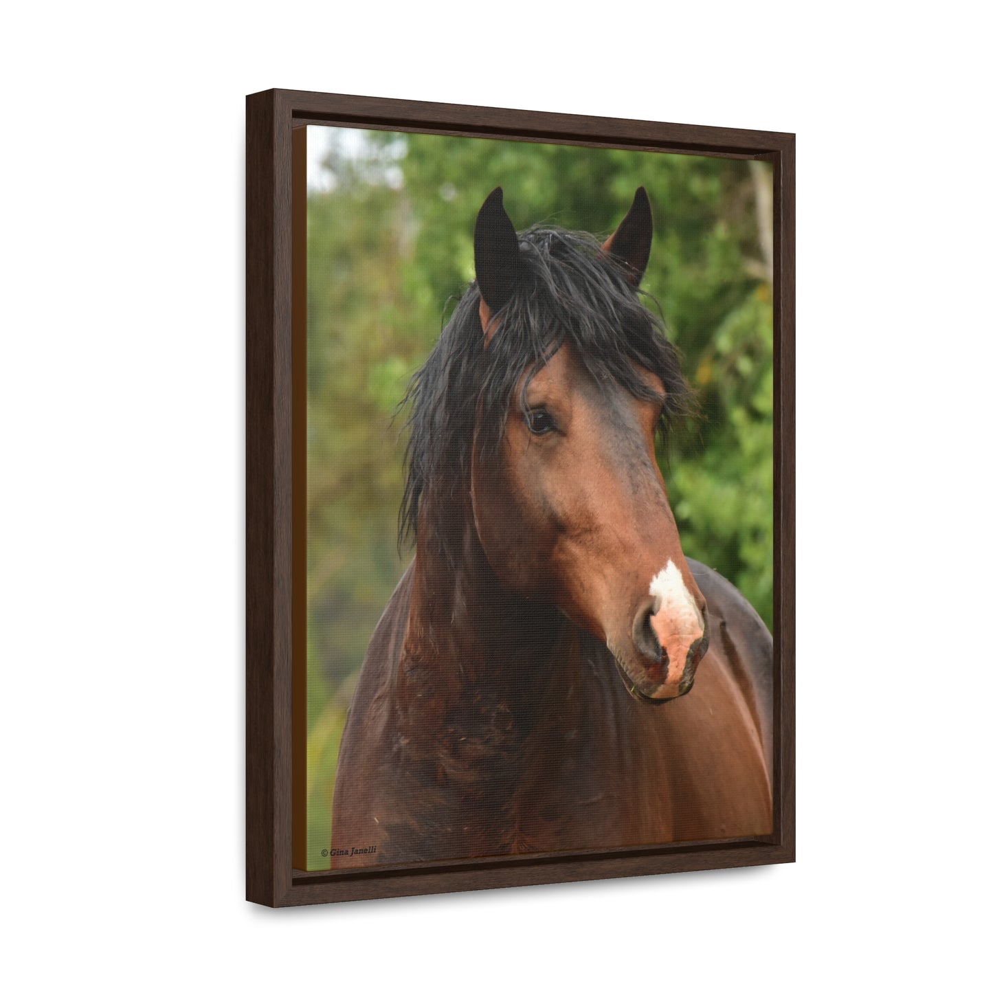 The Challenger, Wild Stallion  Gallery Canvas Wraps, Vertical Frame