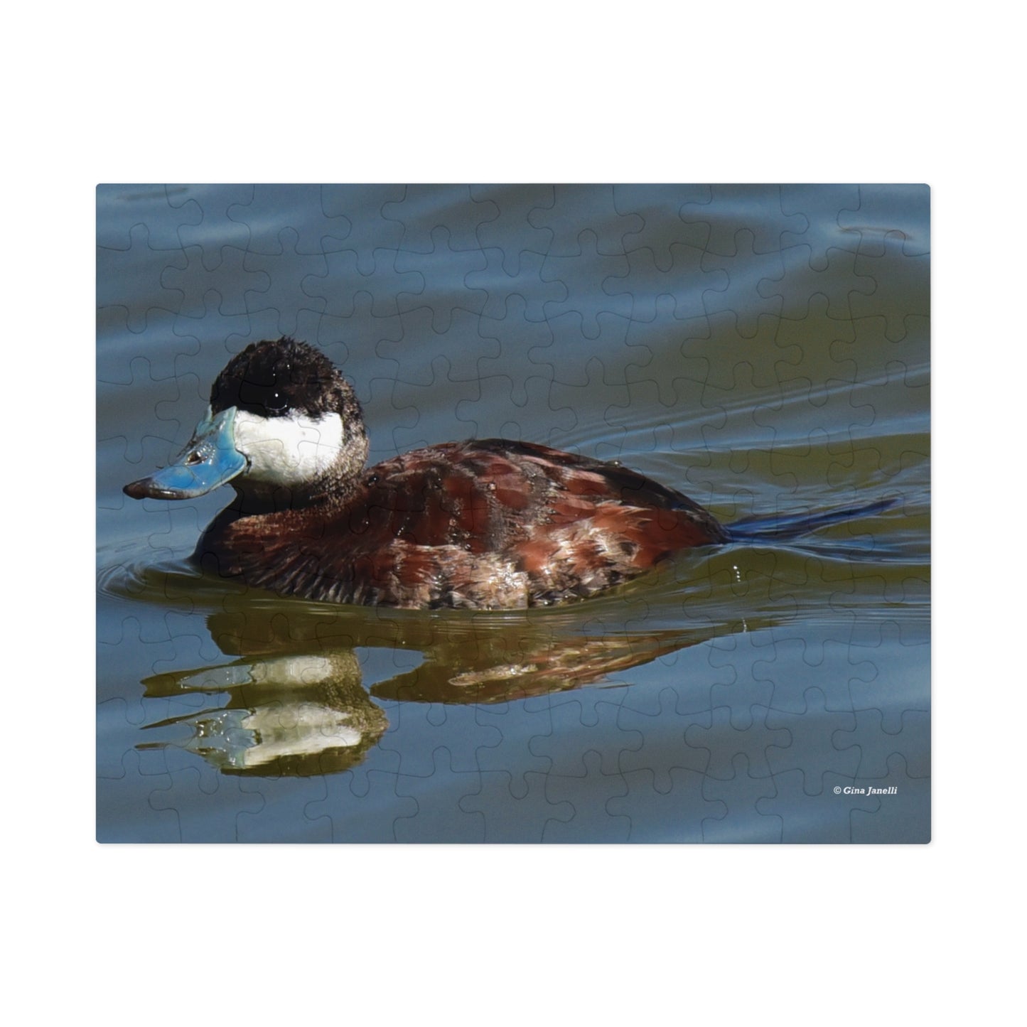 Ruddy Duck  Jigsaw Puzzle (110, 252, 500,-Piece)