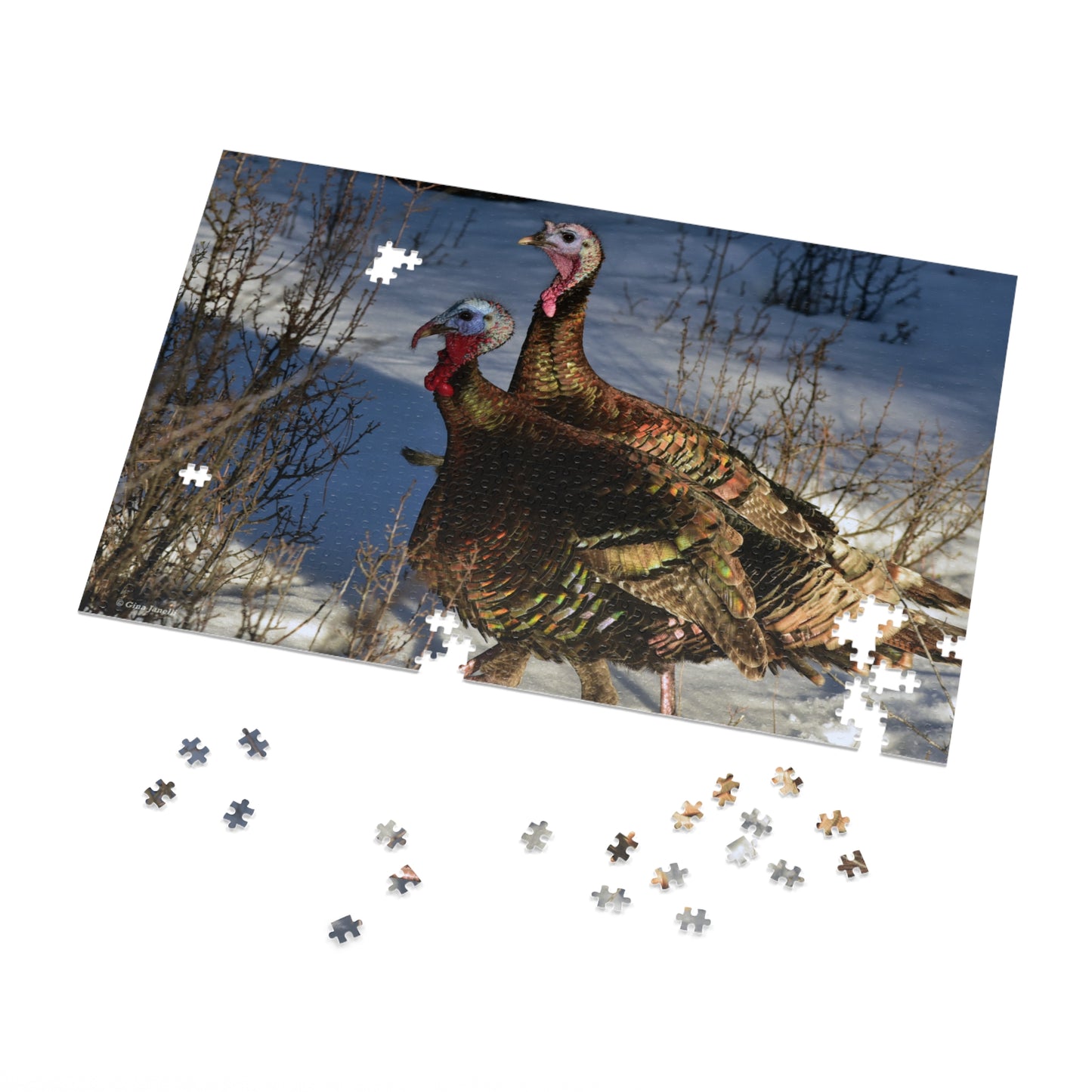 Wild Tom Turkeys  Jigsaw Puzzle ( 110, 252, 500,1000-Piece)