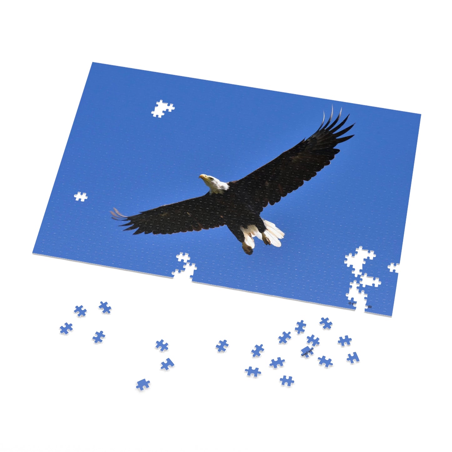 Bald Eagle  Jigsaw Puzzle ( 110, 252, 500,1000-Piece)