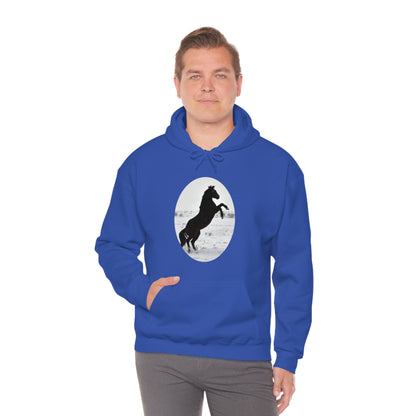 Snow storm - Quarter Horse    Unisex Heavy Blend™ Hooded Sweatshirt