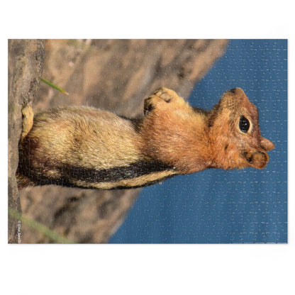 Golden-mantled Ground Squirrel         Jigsaw Puzzle ( 110, 252, 500  Piece)