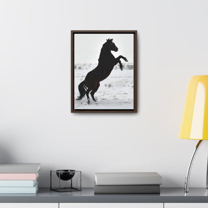 Snow Storm - Quarter Horse    Gallery Canvas Wraps, Vertical Frame