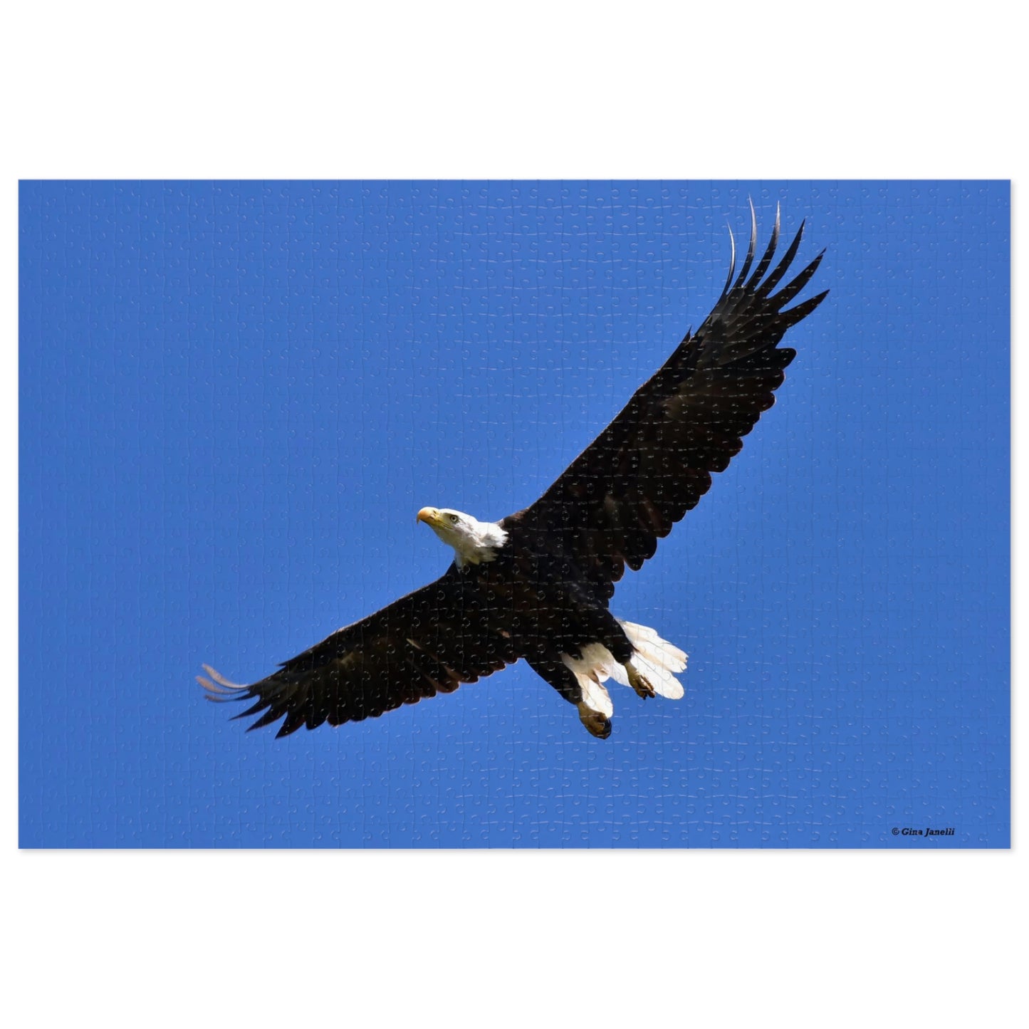 Bald Eagle  Jigsaw Puzzle ( 110, 252, 500,1000-Piece)