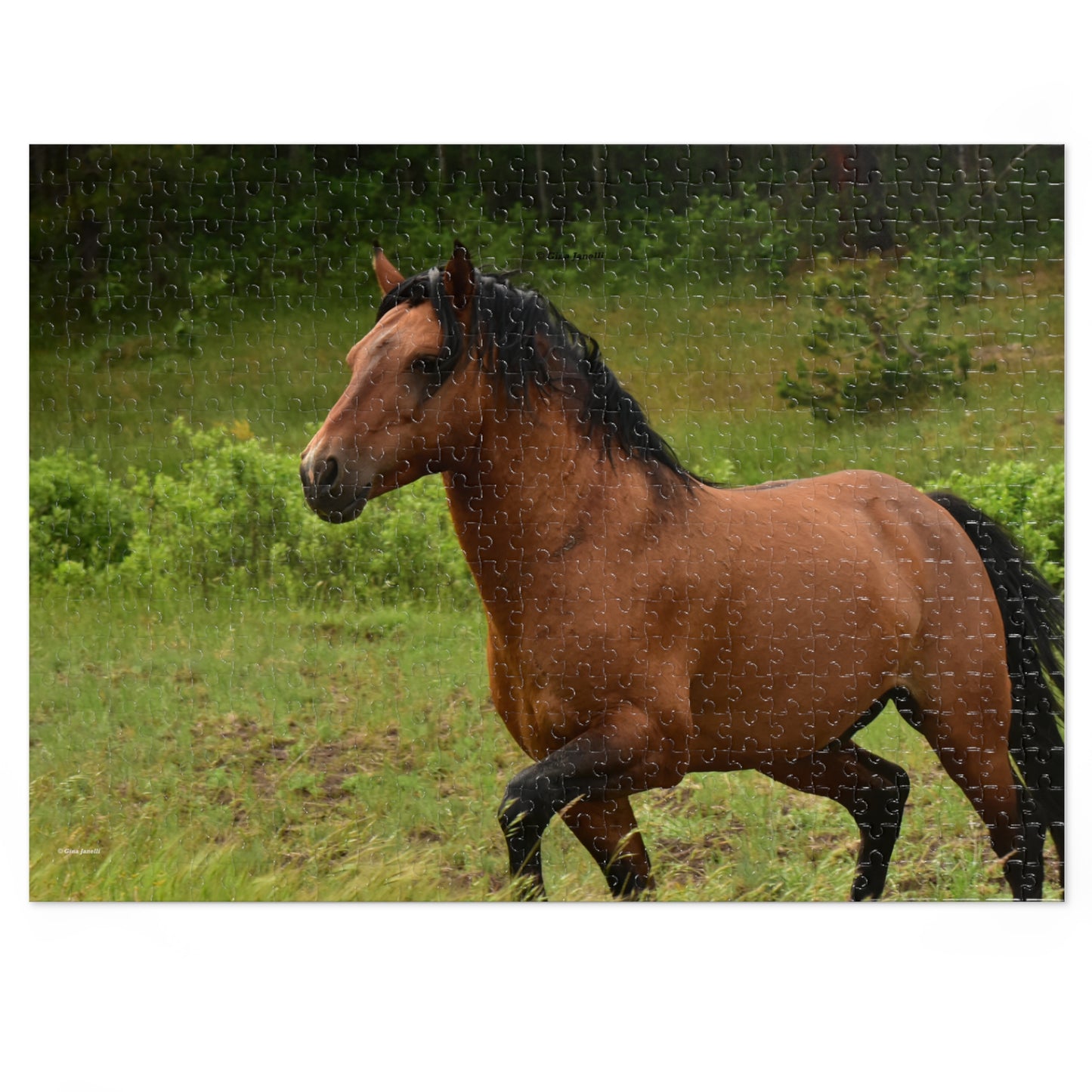 Protector,  Wild Stallion  Jigsaw Puzzle ( 110, 252, 500, Piece)