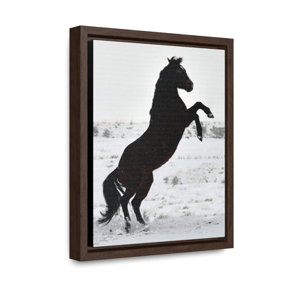 Snow Storm - Quarter Horse    Gallery Canvas Wraps, Vertical Frame