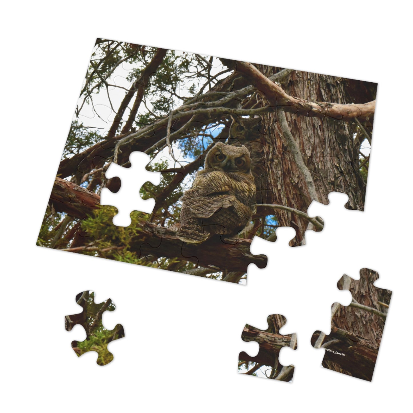 Great Horned Owls  Jigsaw Puzzle (30, 110, 252,-Piece)