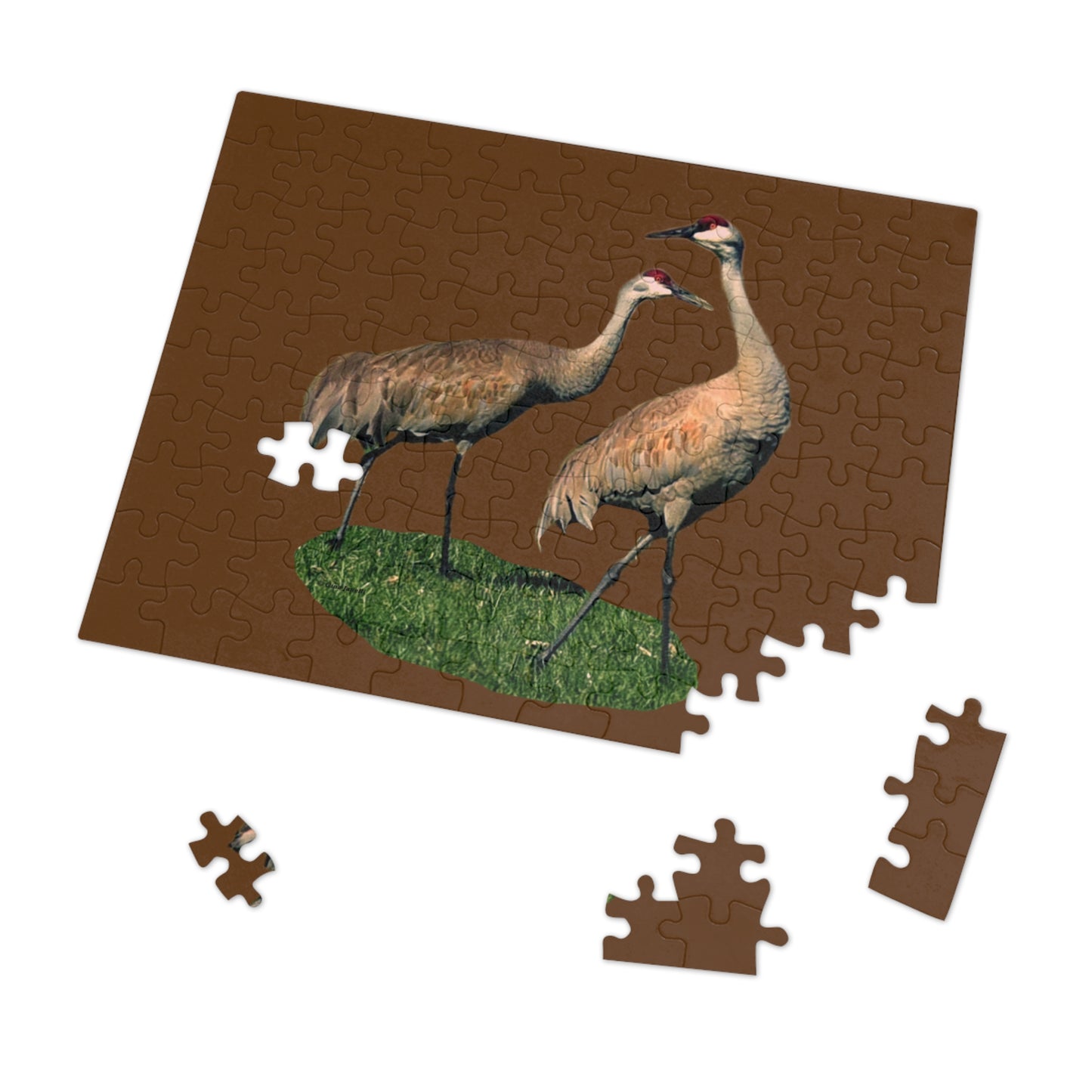Sandhill Crane Pair   Jigsaw Puzzle ( 110, 252, 500,-Piece)