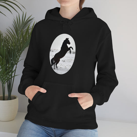 Snow storm - Quarter Horse    Unisex Heavy Blend™ Hooded Sweatshirt