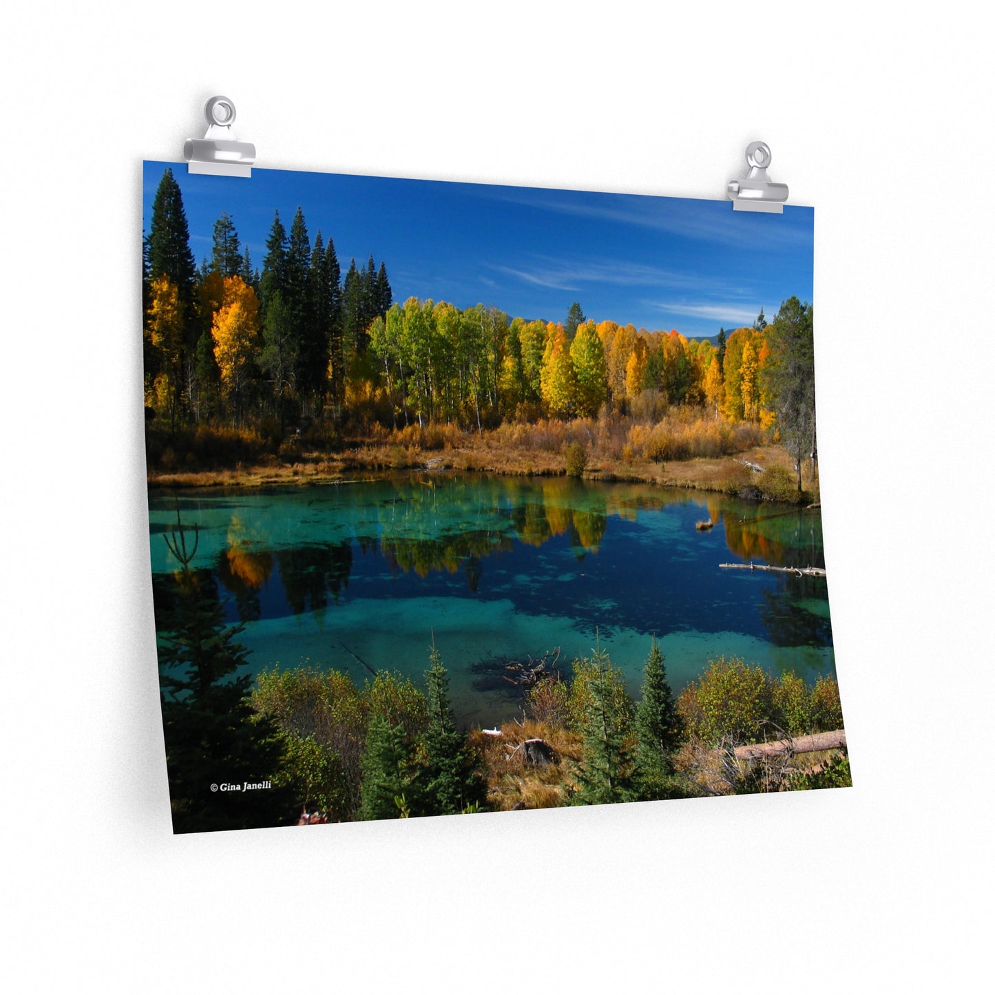 Kimball State Park, Ft. Klamath Or.                        Premium Matte horizontal posters