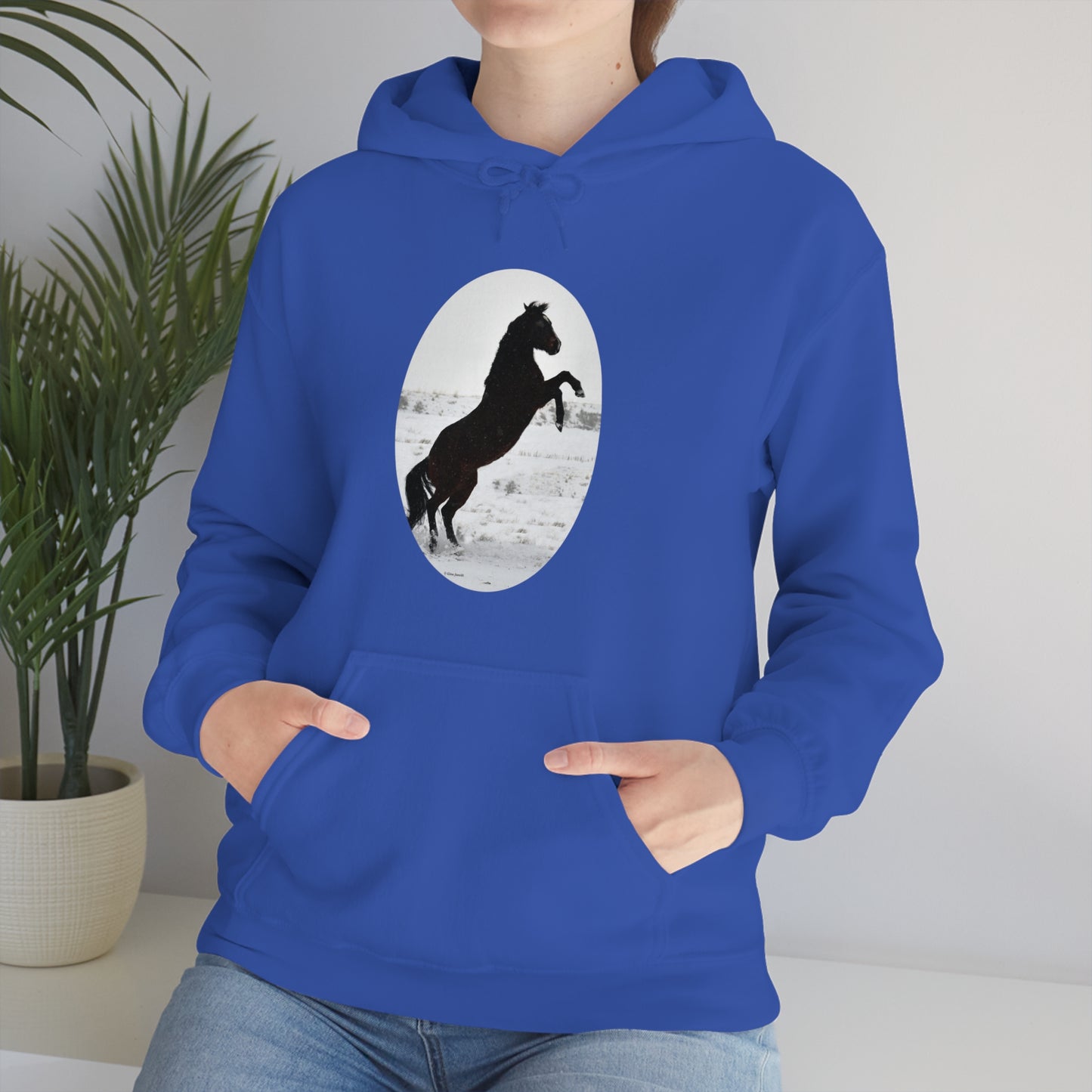 Snow storm - Quarter Horse    Unisex Heavy Blend™ Hooded Sweatshirt