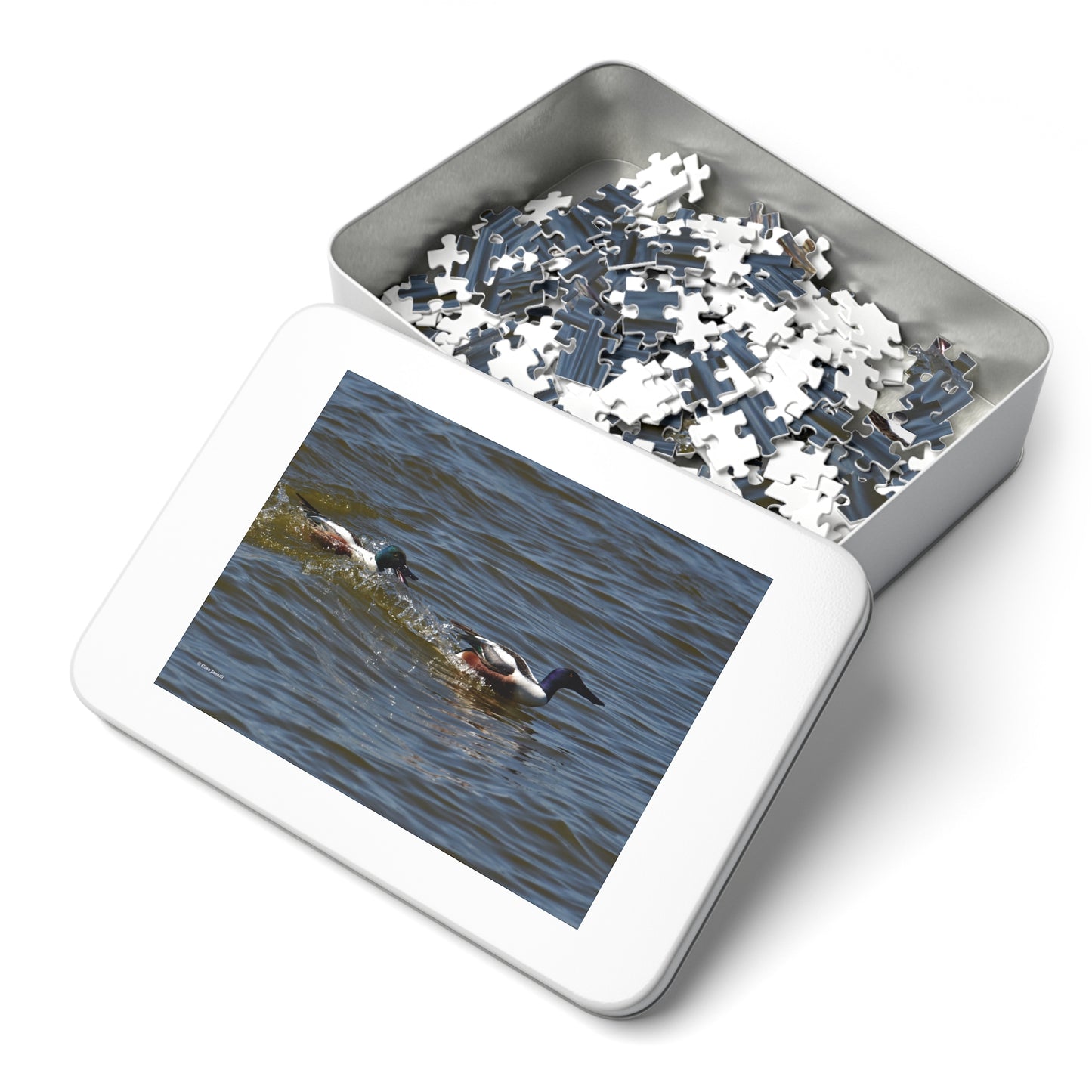 Northern Shoveler       Jigsaw Puzzle (110, 252, 500, 1000, Piece)